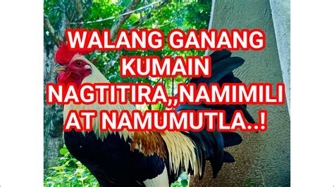 walang gana in English .